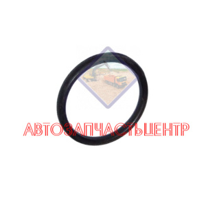 Уплотнительное резиновое кольцо "стакана" форсунки 1182790