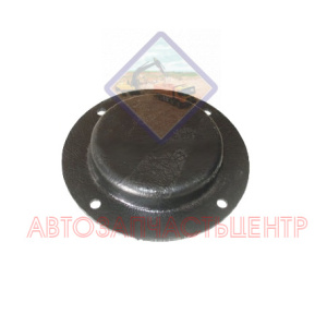 Крышка ДЗ-98.10.06.081