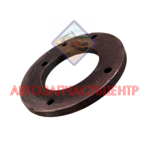 Фиксатор 60-19-10 (19455)